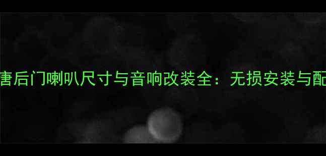 图片 比亚迪唐后门喇叭尺寸与音响改装全：无损安装与配置方案