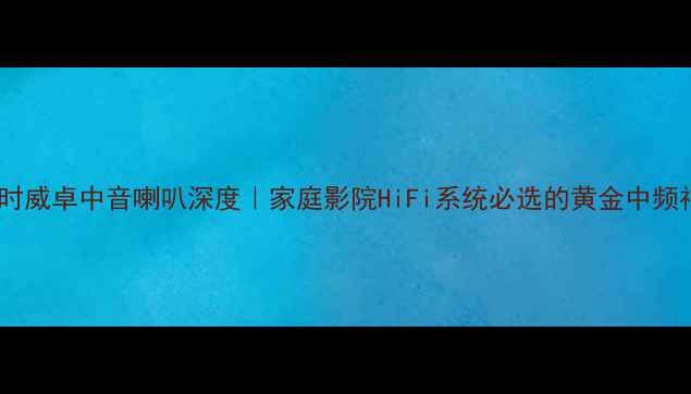 图片 比利时威卓中音喇叭深度｜家庭影院HiFi系统必选的黄金中频神器2