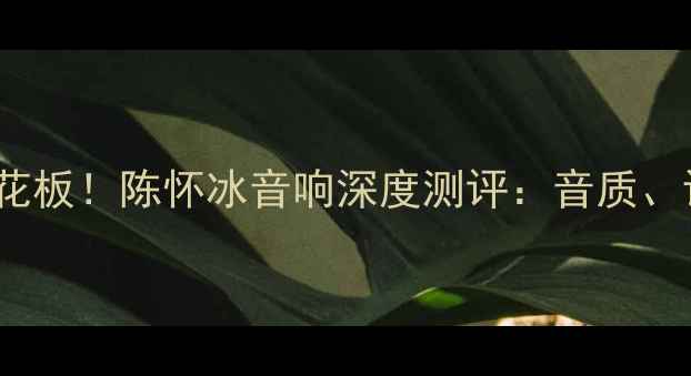 图片 汕头HiFi音响天花板！陈怀冰音响深度测评：音质、设计、性价比全2
