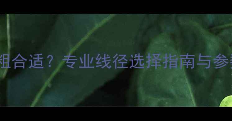 图片 汽车低音喇叭线多粗合适？专业线径选择指南与参数（含改装案例）1