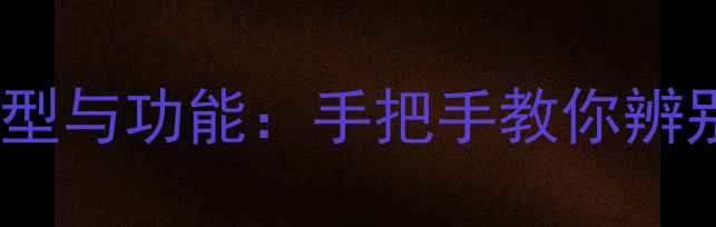 图片 汽车功放声道类型与功能：手把手教你辨别改装核心配置1