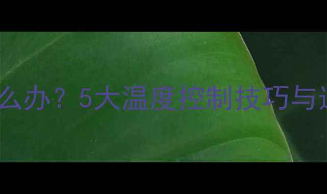 图片 汽车音响功放散热不良怎么办？5大温度控制技巧与选购指南（附实测数据）2