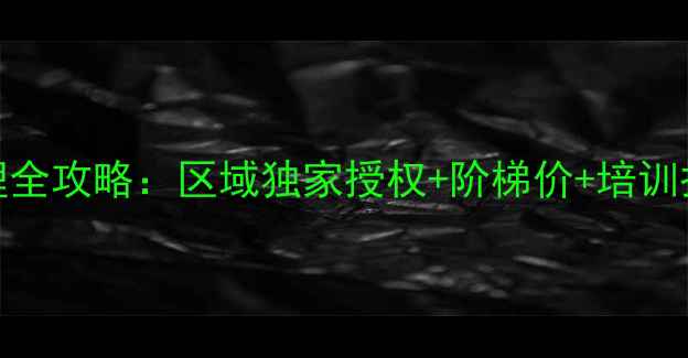 图片 汽车音响喇叭品牌代理全攻略：区域独家授权+阶梯价+培训扶持，开启财富新赛道