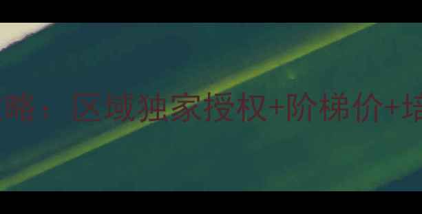 图片 汽车音响喇叭品牌代理全攻略：区域独家授权+阶梯价+培训扶持，开启财富新赛道2