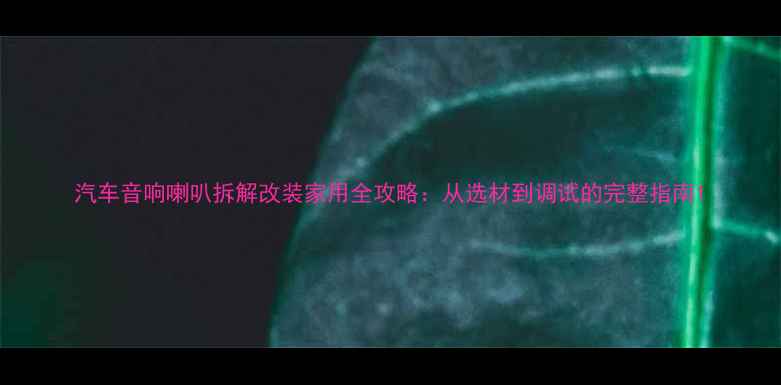 图片 汽车音响喇叭拆解改装家用全攻略：从选材到调试的完整指南1