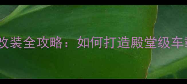 图片 汽车音响喇叭改装全攻略：如何打造殿堂级车载音乐系统？1