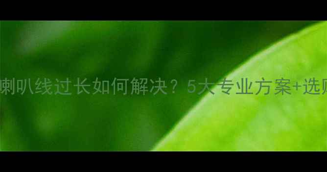 图片 汽车音响喇叭线过长如何解决？5大专业方案+选购指南全2