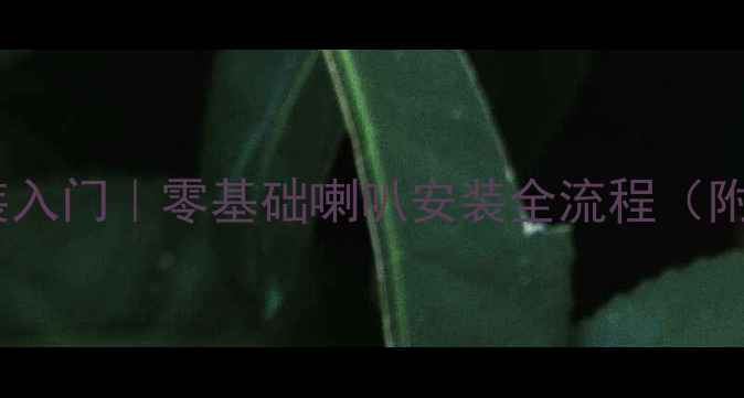 图片 汽车音响改装入门｜零基础喇叭安装全流程（附避坑指南）1