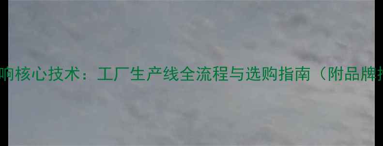 图片 汽车音响核心技术：工厂生产线全流程与选购指南（附品牌推荐）2