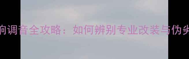 图片 汽车音响调音全攻略：如何辨别专业改装与伪劣服务？