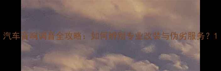 图片 汽车音响调音全攻略：如何辨别专业改装与伪劣服务？1