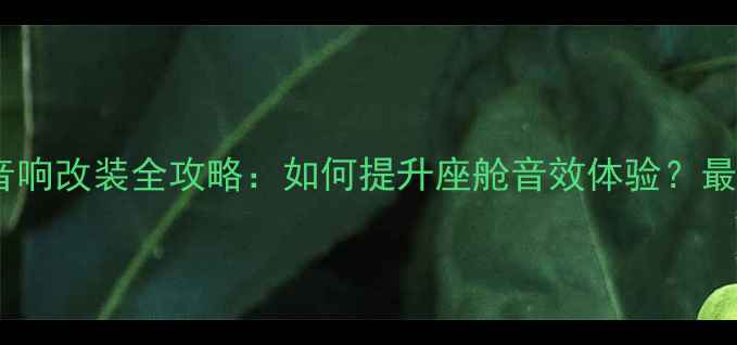 图片 沃尔沃音响改装全攻略：如何提升座舱音效体验？最新方案2