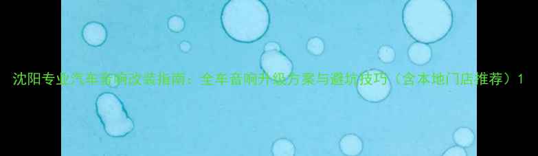 图片 沈阳专业汽车音响改装指南：全车音响升级方案与避坑技巧（含本地门店推荐）1