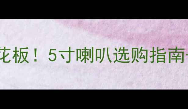图片 法国二手音响天花板！5寸喇叭选购指南+隐藏福利大公开