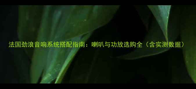 图片 法国劲浪音响系统搭配指南：喇叭与功放选购全（含实测数据）
