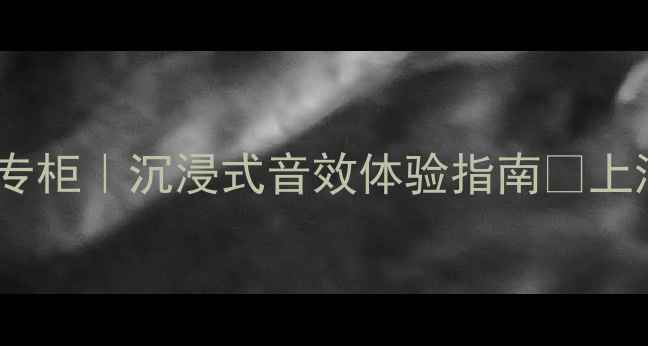 图片 法国帝瓦雷喇叭上海专柜｜沉浸式音效体验指南🎵上海音响发烧友必看！2