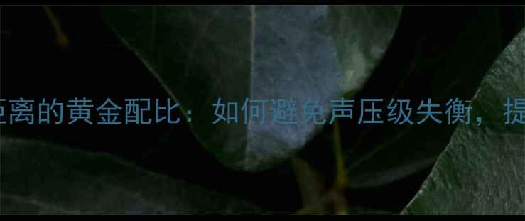 图片 测音话筒与音箱距离的黄金配比：如何避免声压级失衡，提升音响系统音质2