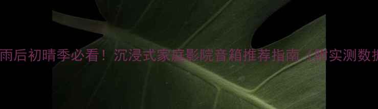 图片 济南雨后初晴季必看！沉浸式家庭影院音箱推荐指南（附实测数据）1