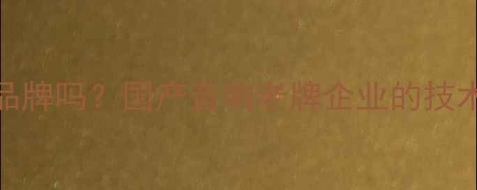 图片 海螺喇叭是知名品牌吗？国产音响老牌企业的技术突破与选购指南