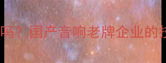 图片 海螺喇叭是知名品牌吗？国产音响老牌企业的技术突破与选购指南1