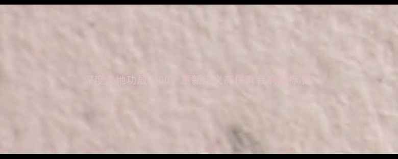 图片 深度大地功放2400：重新定义高保真音响新标准2