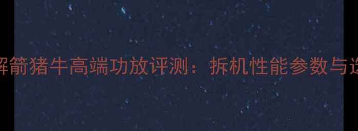 图片 深度拆解箭猪牛高端功放评测：拆机性能参数与选购指南