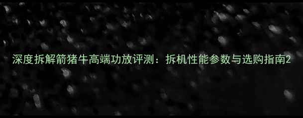 图片 深度拆解箭猪牛高端功放评测：拆机性能参数与选购指南2