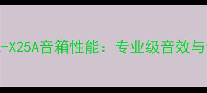 图片 深度评测SAE-X25A音箱性能：专业级音效与设计亮点全1