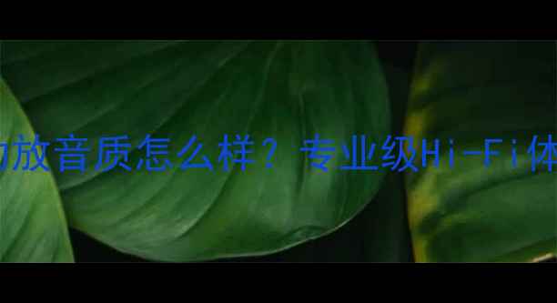 图片 深度评测乐声功放音质怎么样？专业级Hi-Fi体验与选购指南1