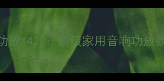 图片 深度评测天龙功放X420：顶级家用音响功放器的音质与性能