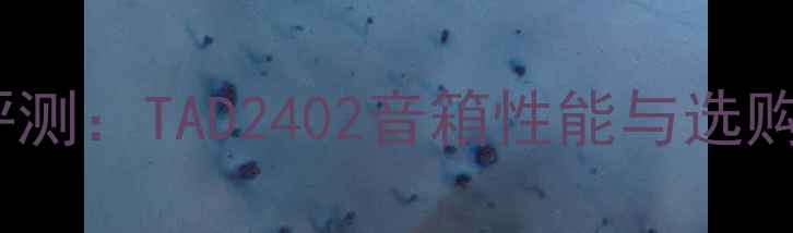 图片 深度评测：TAD2402音箱性能与选购指南1