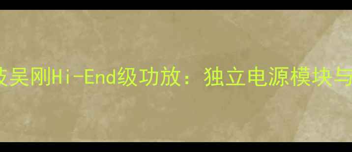 图片 清华音频科技吴刚Hi-End级功放：独立电源模块与全对称设计2