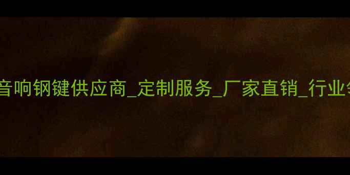 图片 湖北专业音响钢键供应商_定制服务_厂家直销_行业领先品牌2