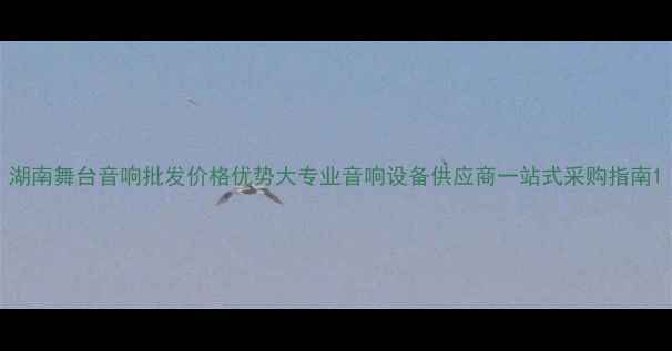 图片 湖南舞台音响批发价格优势大专业音响设备供应商一站式采购指南1