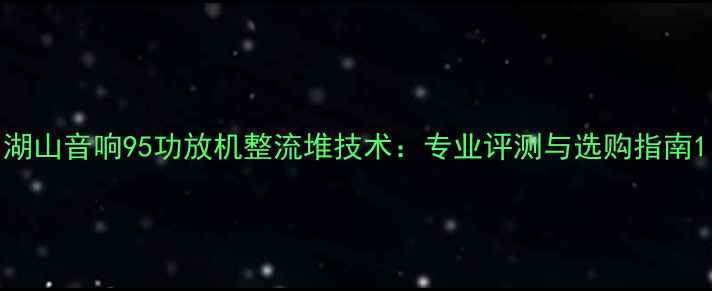 图片 湖山音响95功放机整流堆技术：专业评测与选购指南1