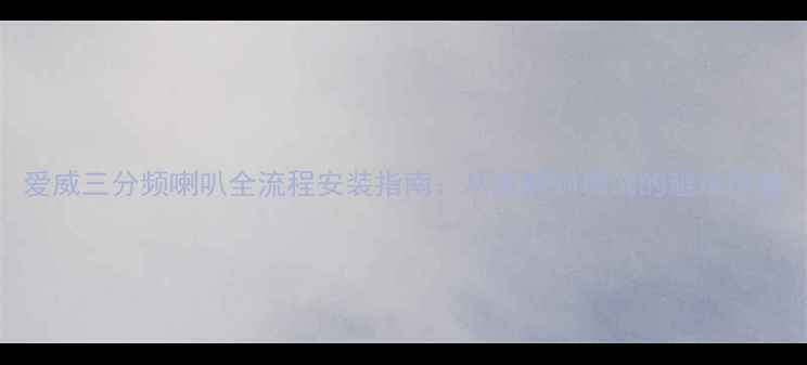 图片 爱威三分频喇叭全流程安装指南：从拆解到调试的避坑秘籍