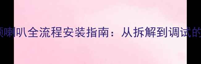 图片 爱威三分频喇叭全流程安装指南：从拆解到调试的避坑秘籍1