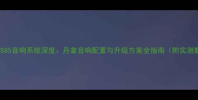 图片 特斯拉S85音响系统深度：丹拿音响配置与升级方案全指南（附实测数据）1