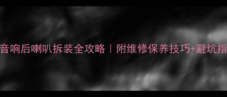 图片 猎豹音响后喇叭拆装全攻略｜附维修保养技巧+避坑指南🔧