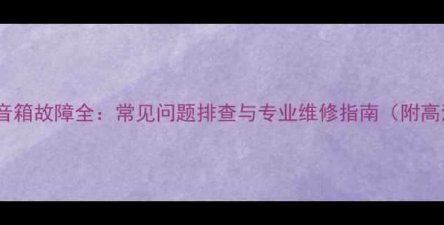 图片 现代飞思音箱故障全：常见问题排查与专业维修指南（附高清图文）1