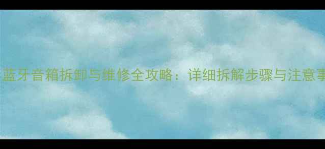 图片 球形蓝牙音箱拆卸与维修全攻略：详细拆解步骤与注意事项2