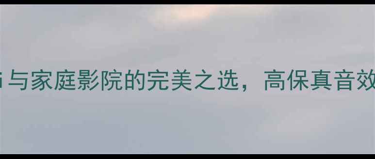 图片 瑞典DLSA专业功放：Hi-Fi与家庭影院的完美之选，高保真音效与低失真技术的创新应用