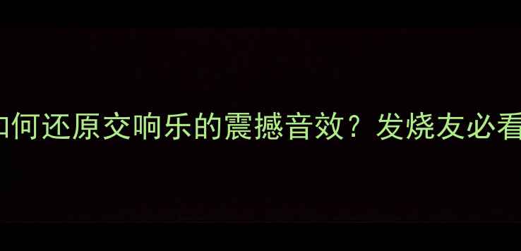 图片 瑞士Hi-End功放如何还原交响乐的震撼音效？发烧友必看音质与选购指南1