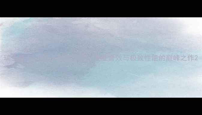 图片 瑞士登丰530合并功放深度：专业音效与极致性能的巅峰之作2