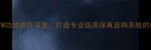 图片 瑞士精密FM功放套件深度：打造专业级高保真音响系统的核心方案2