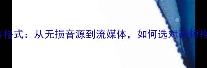 图片 瑞纳音响全兼容格式：从无损音源到流媒体，如何选对音频格式提升音质？1