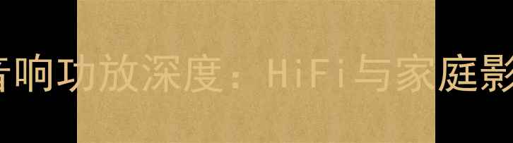 图片 瑟顿A21A专业音响功放深度：HiFi与家庭影院的完美平衡1