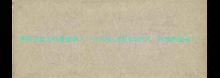 图片 甲类功放为何重量惊人？五大核心原因与技术（附选购指南）1