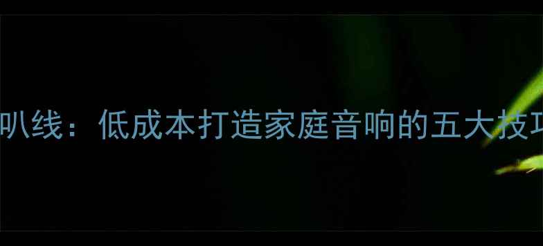 图片 电源线DIY喇叭线：低成本打造家庭音响的五大技巧与注意事项