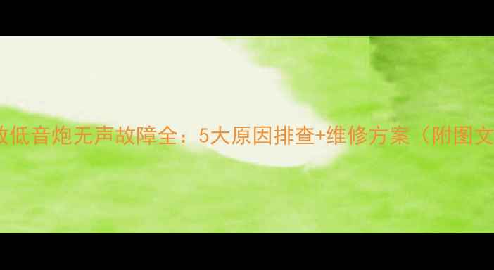 图片 电脑功放低音炮无声故障全：5大原因排查+维修方案（附图文指南）2